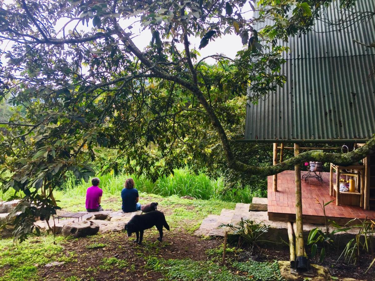 Glamping El Arbol En La Casa Villa San Antonio del Tequendama Exterior photo