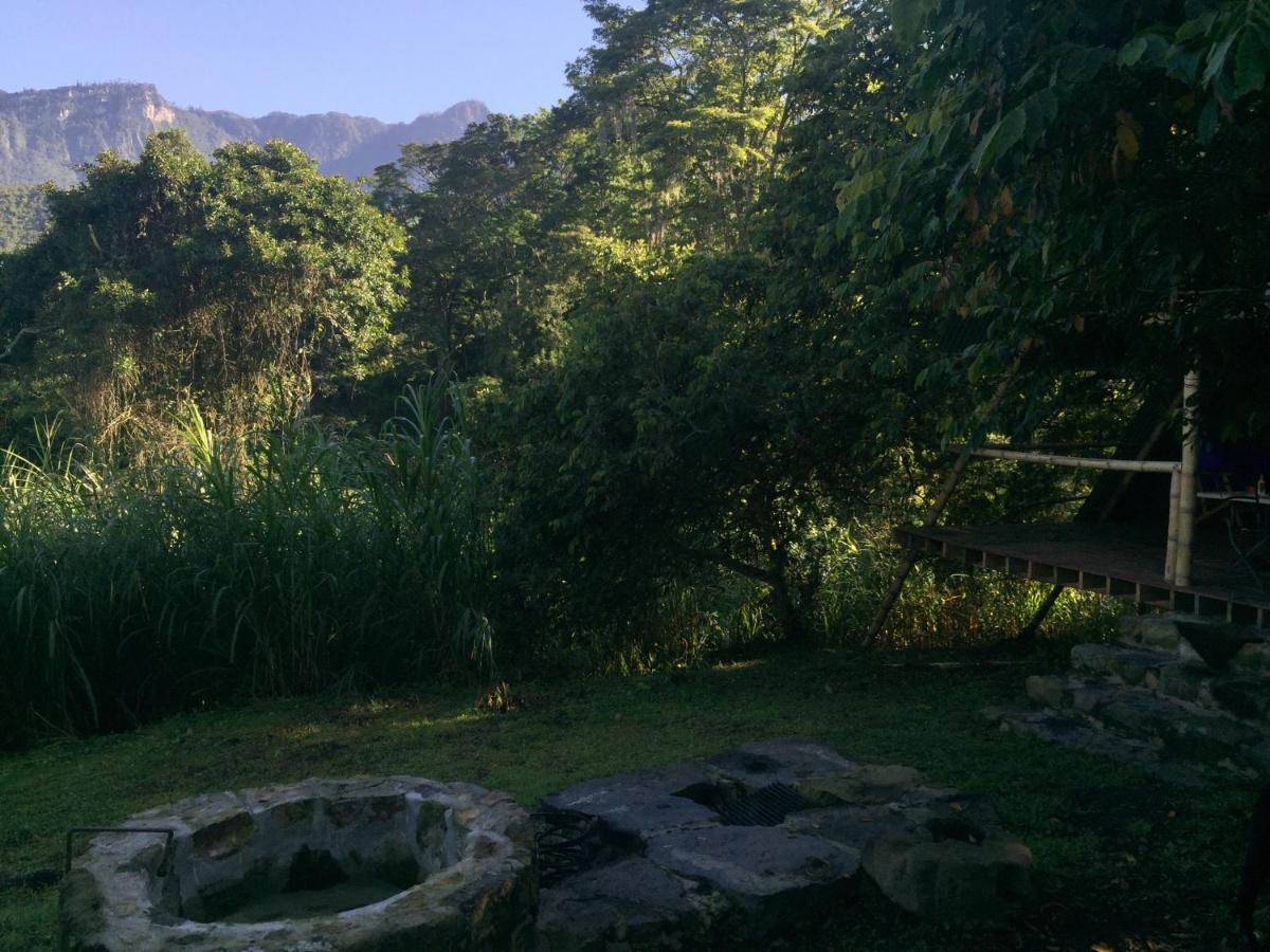 Glamping El Arbol En La Casa Villa San Antonio del Tequendama Exterior photo