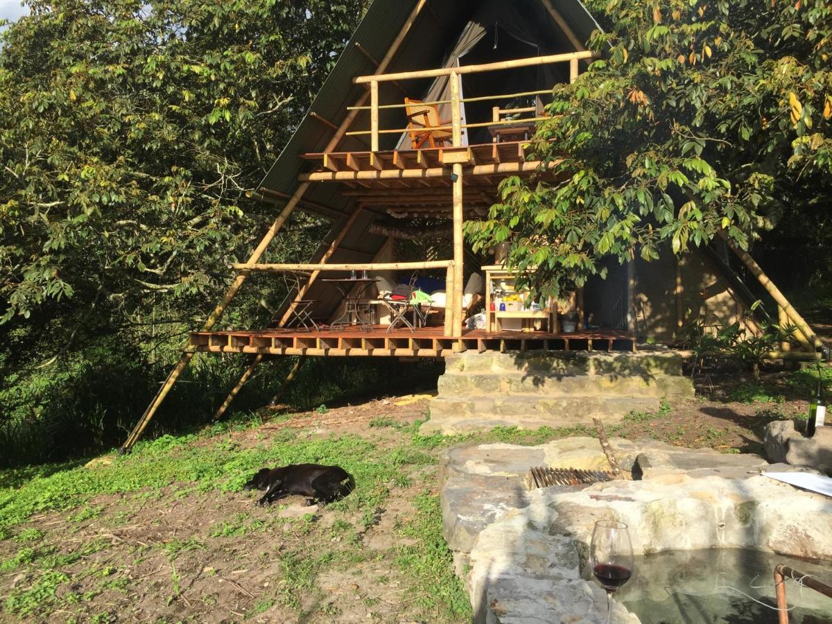 Glamping El Arbol En La Casa Villa San Antonio del Tequendama Exterior photo