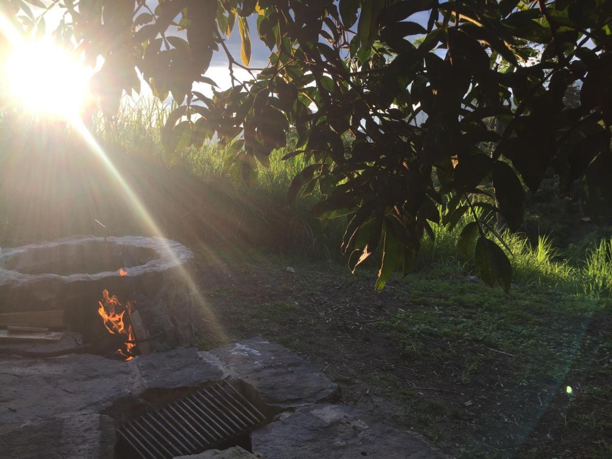 Glamping El Arbol En La Casa Villa San Antonio del Tequendama Exterior photo